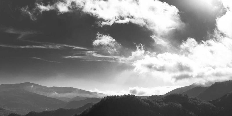 从幼猫到成猫：科学制定猫咪生命各阶段的营养转换计划