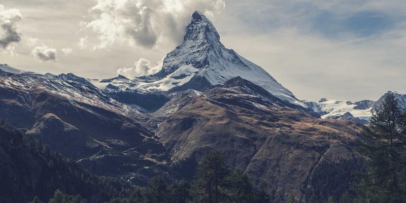 从新手到专家：全面掌握宠物猫咪的护理与行为知识