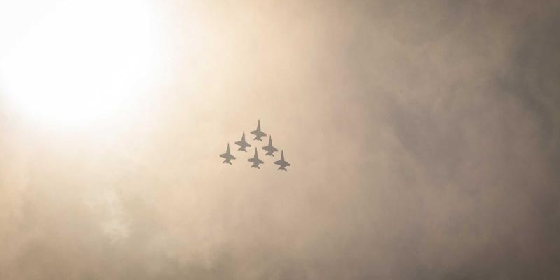 从新手到资深：养猫必备知识、萌猫图片与科学养护全指南