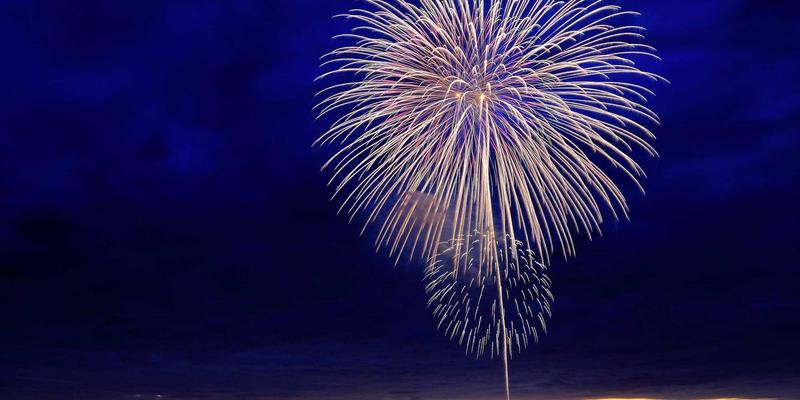 从猫图片到养猫实践：一份全面的猫咪评测与饲养指南