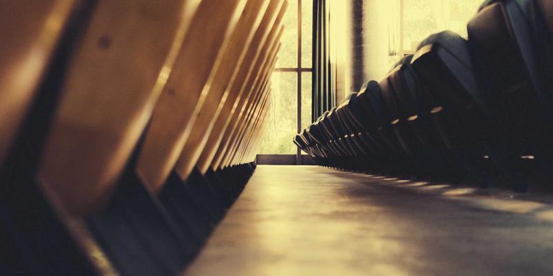 从真实案例解析科学养猫：宠物护理中的关键细节与常见误区