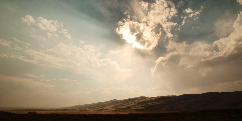 从萌图到社群：一份全方位的猫咪爱好者攻略