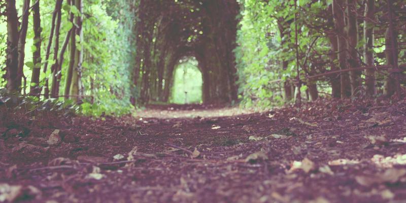 养猫必看分享：7个实用技巧，轻松培养猫咪健康饮水习惯