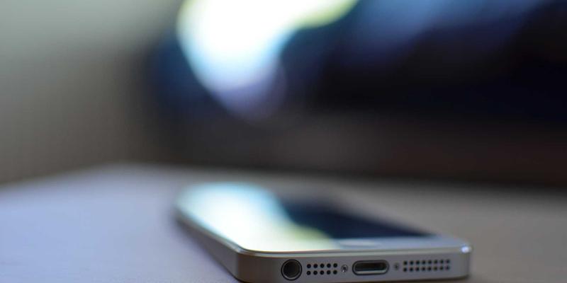 养猫必读分享：从膀胱炎到尿闭，全面守护猫咪泌尿系统健康