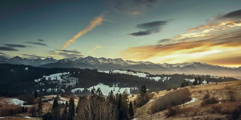 多猫家庭冲突调解指南：从资源分配到领地规划，打造和谐养猫环境