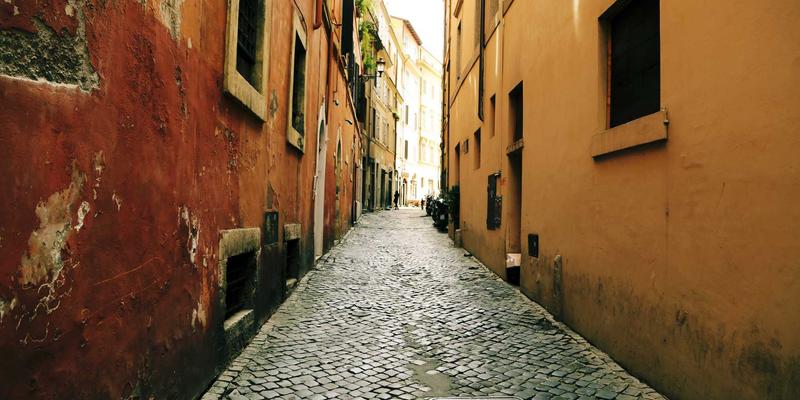 打造猫咪友好型家居：社区宠物护理经验中的垂直空间与安全角落设计