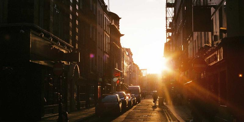 新手养猫全指南：从猫咪知识到社区互助的完整攻略