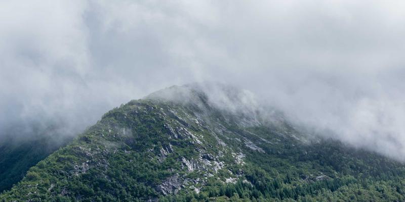 新手养猫完全指南：从猫咪27天到27个月的贴心陪伴