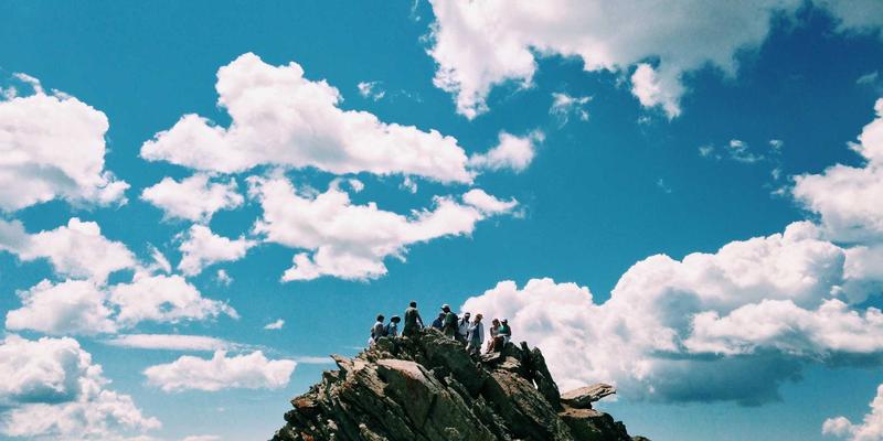 猫咪24小时科学护理指南：从日常照料到社区资源共享