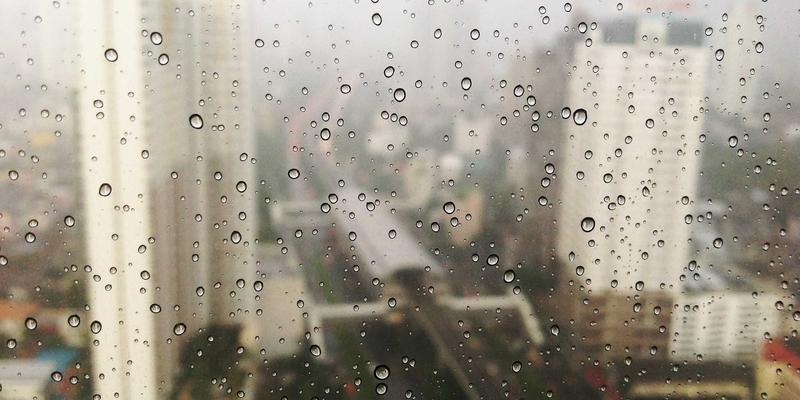 猫咪29天关键护理指南：从幼猫到成猫的健康守护全解析