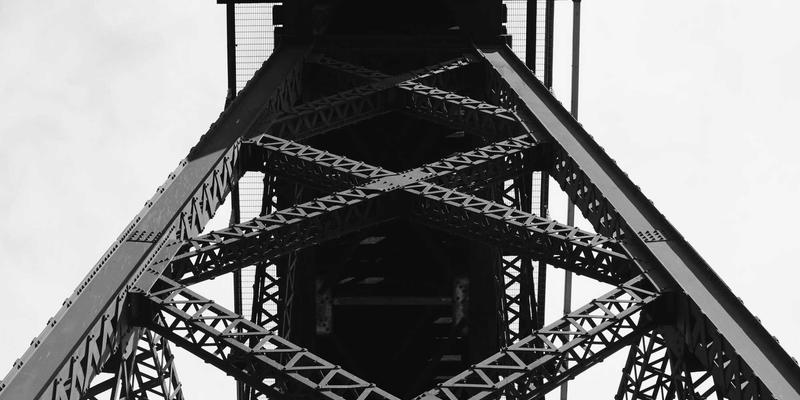 猫咪30天：用图片与故事，开启一场治愈心灵的分享之旅