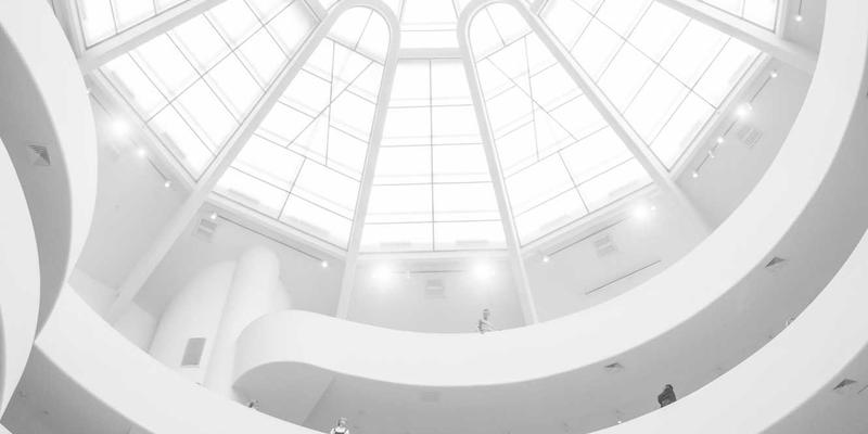 猫咪32问：从新手到资深，你必须掌握的养猫知识与宠物护理指南