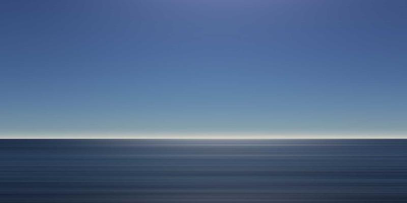 猫咪35天全攻略：从新手到资深，共建温暖养猫社区