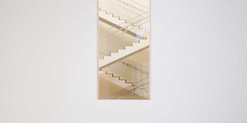 猫咪37°C：在温暖社区中分享与成长的猫咪知识宝库