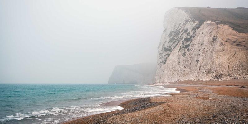 猫咪38号社区：用专业宠物护理与治愈系猫图片构建爱猫人士家园