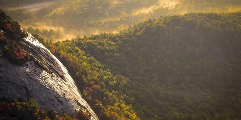 猫咪47：揭秘宠物世界中的神秘数字与科学养猫指南