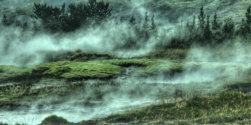 猫咪58问：从新手到资深铲屎官的必备知识与暖心分享