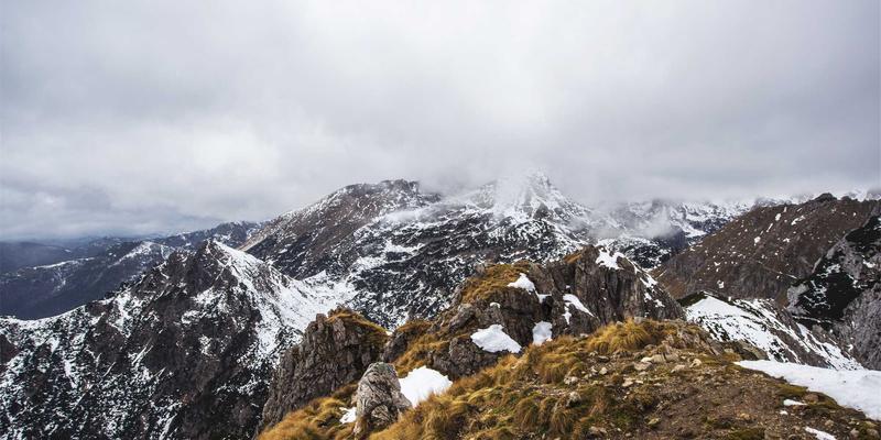 猫咪5大日常护理指南：从基础喂养到健康守护