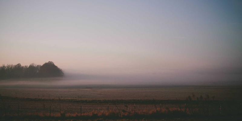 猫咪99问：从入门到精通的宠物猫咪知识全指南