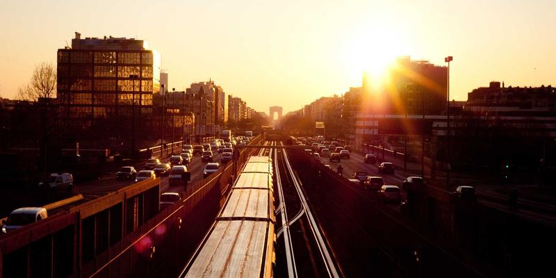 猫咪：从神秘伙伴到家庭宠物的暖心之旅