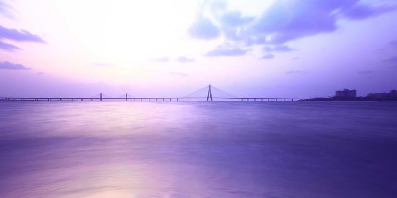 猫咪口腔健康全攻略：从刷牙训练到牙科零食选择，守护爱猫的灿烂笑容