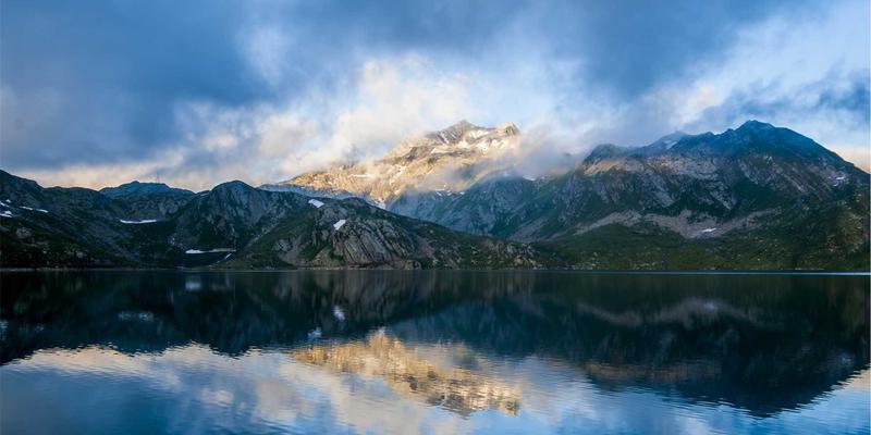 猫咪口腔健康深度解析：牙结石预防、刷牙训练与口腔疾病早期征兆