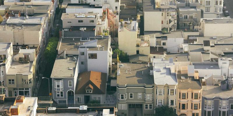 猫咪慢性呕吐别忽视：社区猫友必读的毛球症、食物过敏与炎症性肠病鉴别指南