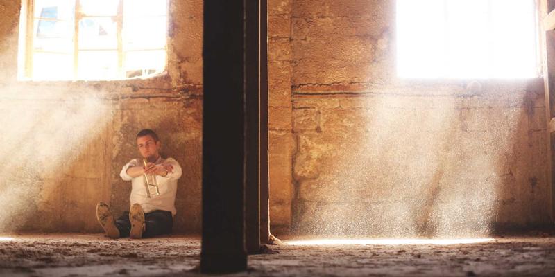 猫咪是什么？从宠物到家人，在分享与社区中重新定义陪伴