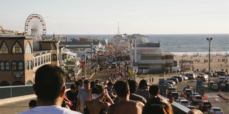 猫咪特应性皮炎护理指南：从环境过敏原控制到皮肤屏障修复