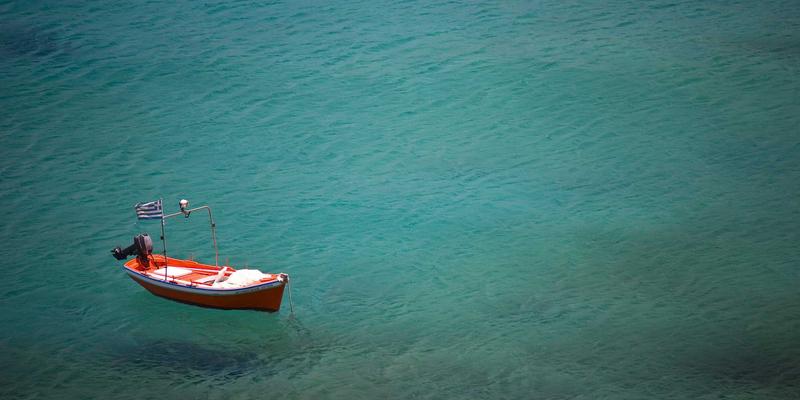 猫咪的魅力世界：分享与猫图片背后的治愈力量