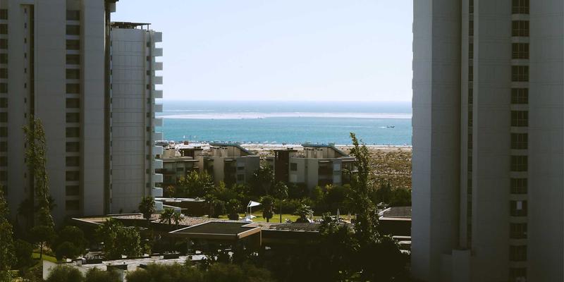 猫咪糖尿病饮食管理全攻略：如何科学选择处方粮与监测血糖 | 宠物护理经验分享