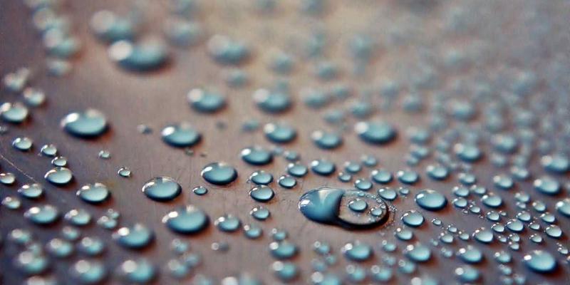 社区养猫必看：家庭自制猫咪零食食谱，宠物护理的安全与营养平衡指南