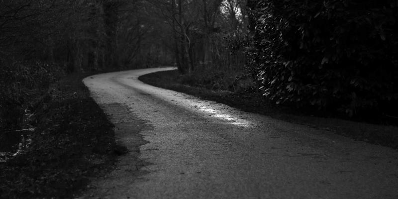 社区养猫指南：如何为不同品种猫咪挑选合适的猫爬架与活动空间