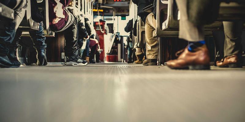 社区分享：如何识别老年猫咪认知功能障碍的早期迹象与家庭干预方法