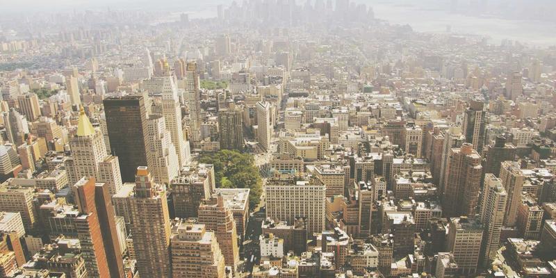 读懂猫咪的无声语言：从肢体动作洞察猫咪情绪与需求