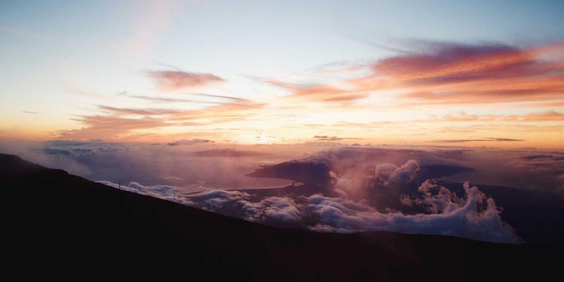 读懂猫咪的肢体语言：从尾巴、耳朵到眼神的情绪密码 | 猫咪知识与护理指南