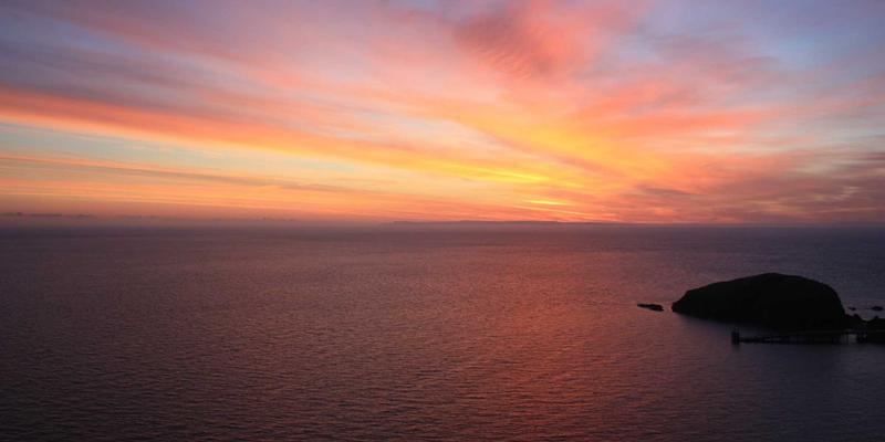 资深铲屎官分享：室内猫咪环境丰富化与玩具选择全指南